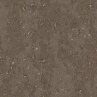Asset preview